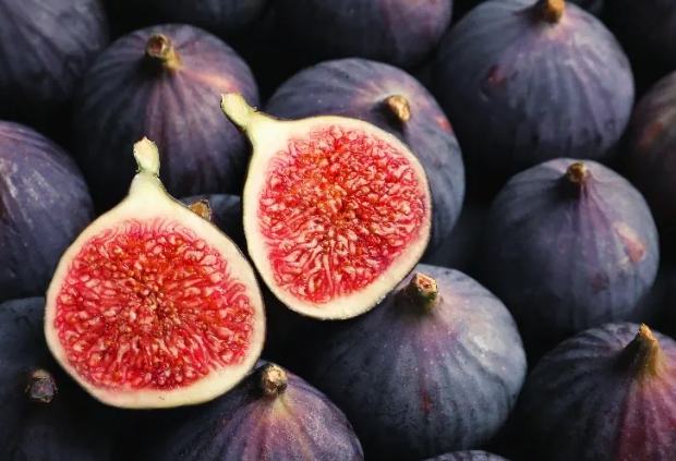 無花果補血