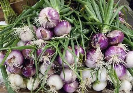 洋蔥鉀功效 洋蔥鉀功效