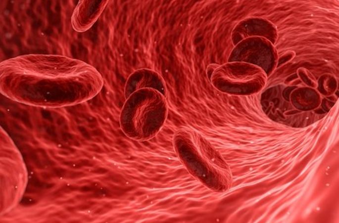 缺紅血球要吃什麼