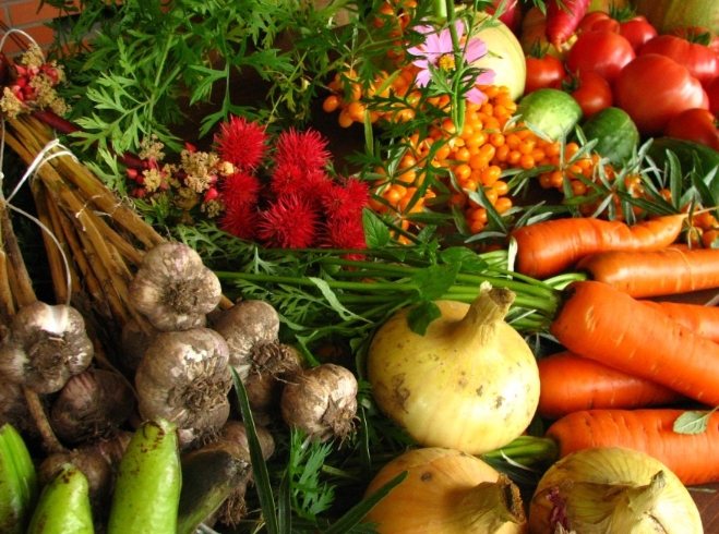 有機蔬果選擇 有機蔬果選擇