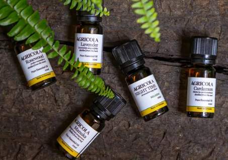 茶樹精油稀釋方法 茶樹精油稀釋方法