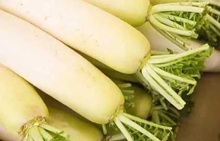 蘋果白蘿蔔相克 蘋果白蘿蔔相克