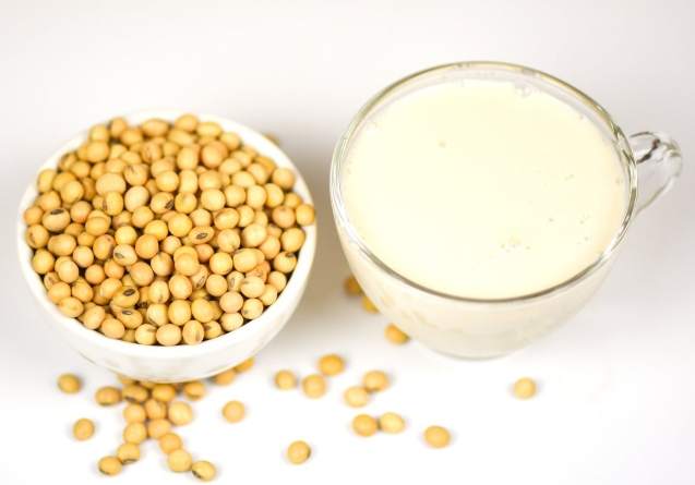 豆漿機黃豆選擇