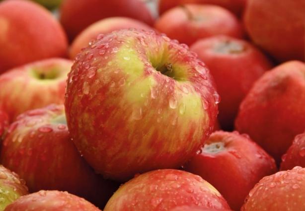 蘋果壞處 蘋果壞處