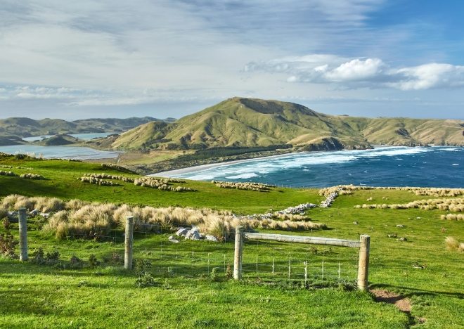 紐西蘭旅遊最佳月份 紐西蘭旅遊最佳月份