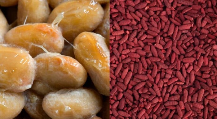 納豆紅麴長期食用