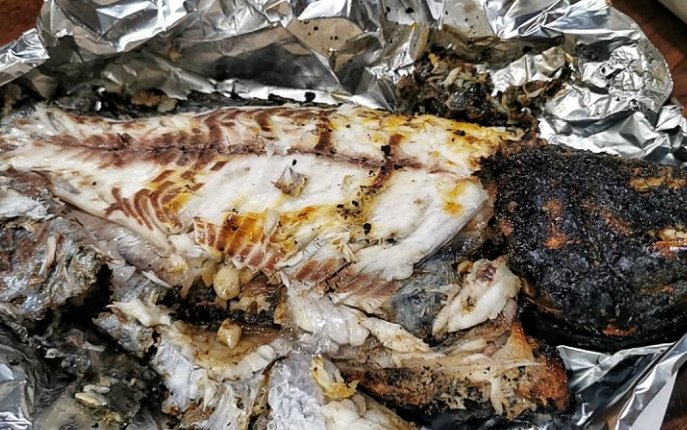 烤魚推薦 烤魚推薦