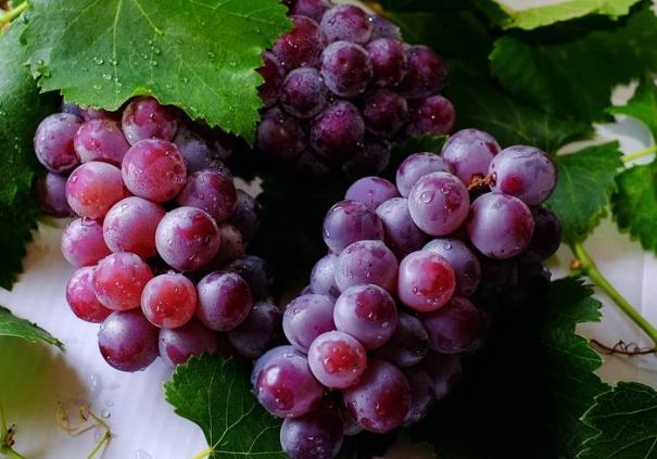 骨折飲食禁忌 骨折飲食禁忌