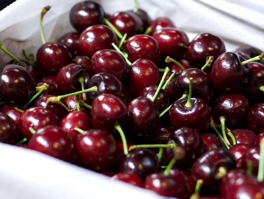 骨折癒合水果 骨折癒合水果