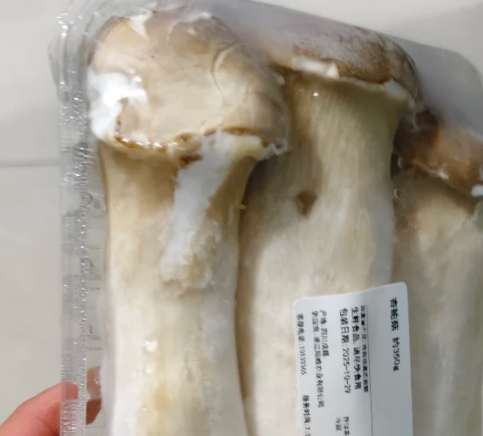 杏鮑菇壞掉判斷 杏鮑菇壞掉判斷