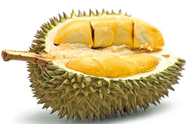 孕婦飲食榴槤 孕婦飲食榴槤