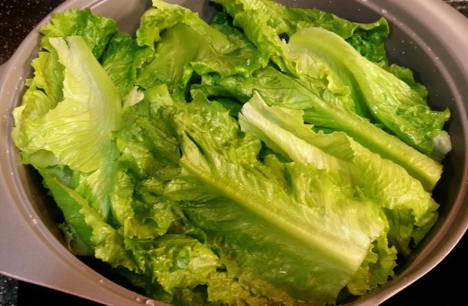 生菜安全食用 生菜安全食用