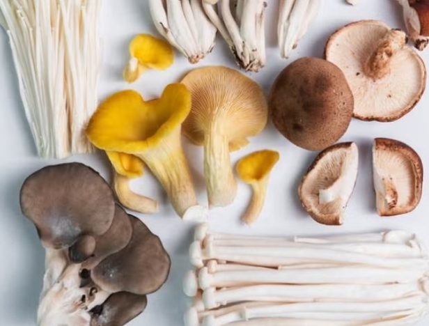 蘑菇放多久不能吃