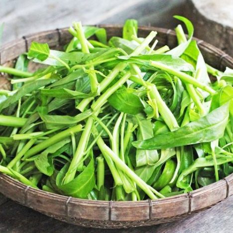 空心菜可以冷凍嗎