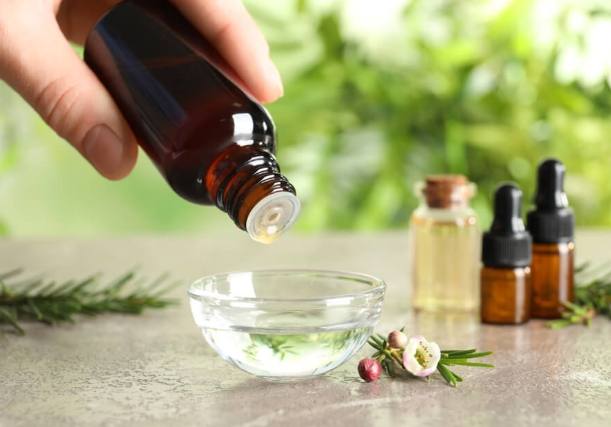 茶樹精油加水比例 茶樹精油加水比例