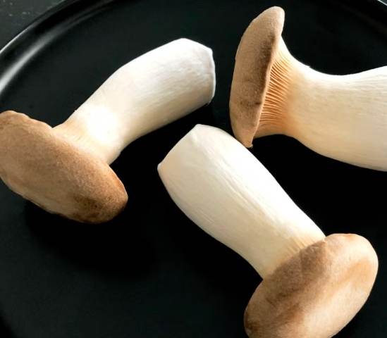 杏鮑菇保存時間 杏鮑菇保存時間