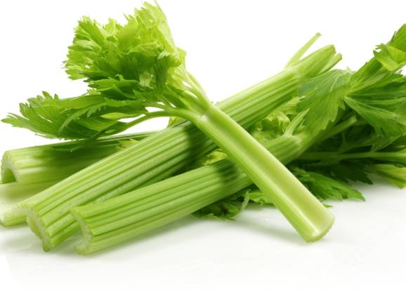 芹菜副作用 芹菜副作用