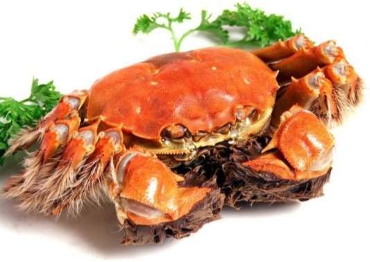 螃蟹禁忌人群 螃蟹禁忌人群