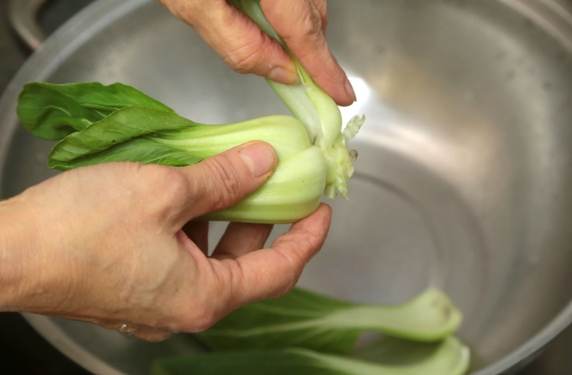 青江菜副作用 青江菜副作用