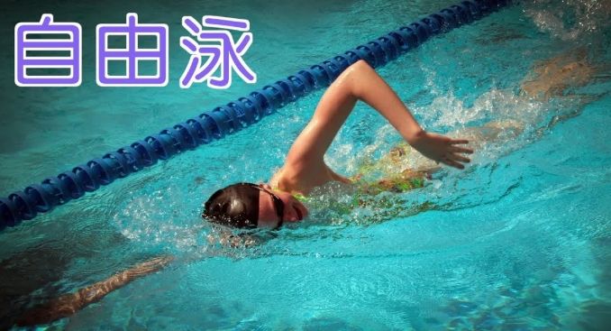 自由泳的好处
