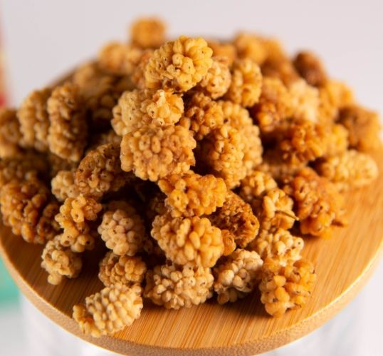 白桑子乾好處 白桑子乾好處