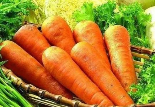 胡蘿蔔搭配禁忌 胡蘿蔔搭配禁忌