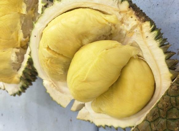 榴槤孕婦營養 榴槤孕婦營養