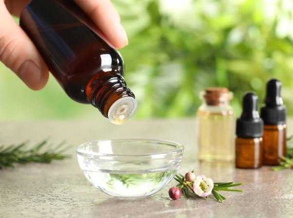 茶樹精油薰香方法 茶樹精油薰香方法