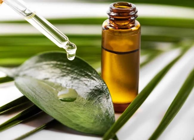 茶樹精油加水用途 茶樹精油加水用途