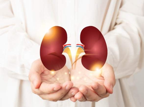 南瓜禁忌人群 南瓜禁忌人群