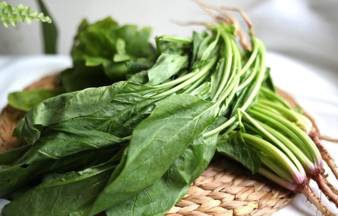 草酸高的食物排行榜