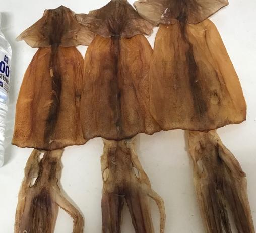 小琉球魷魚料理 小琉球魷魚料理