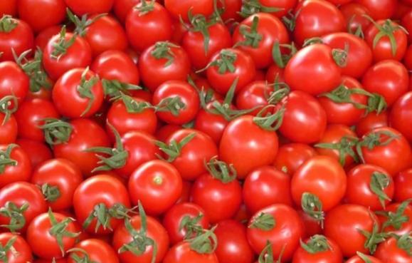 小番茄營養價值 小番茄營養價值