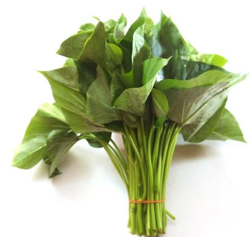 地瓜葉搭配禁忌 地瓜葉搭配禁忌