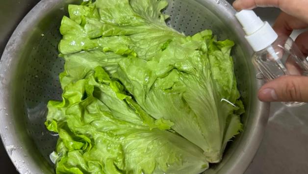 小白菜農藥殘留清洗 小白菜農藥殘留清洗
