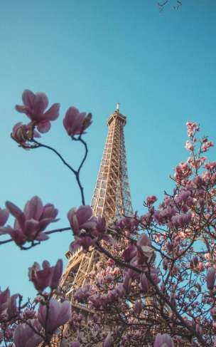 南禪寺巴士資訊 南禪寺巴士資訊