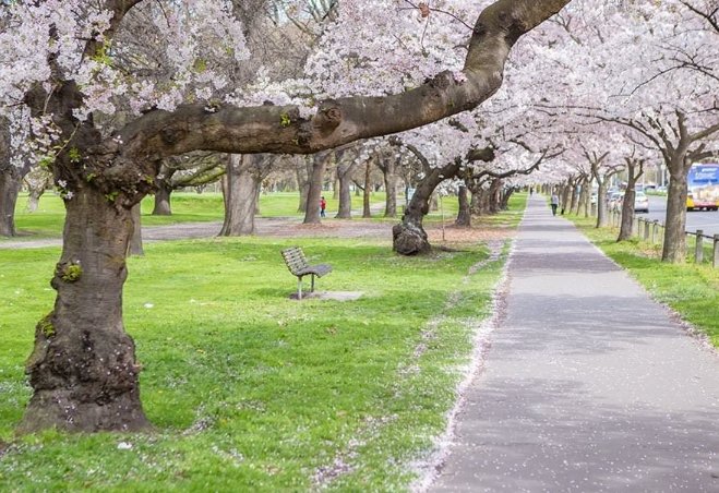 基督城旅遊景點 基督城旅遊景點