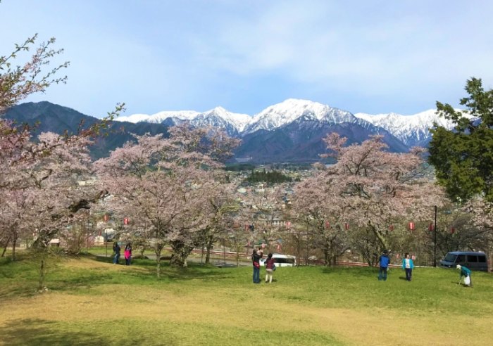 長野賞櫻