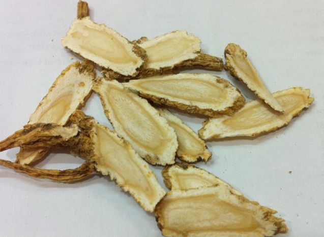 西洋蔘禁忌人群 西洋蔘禁忌人群