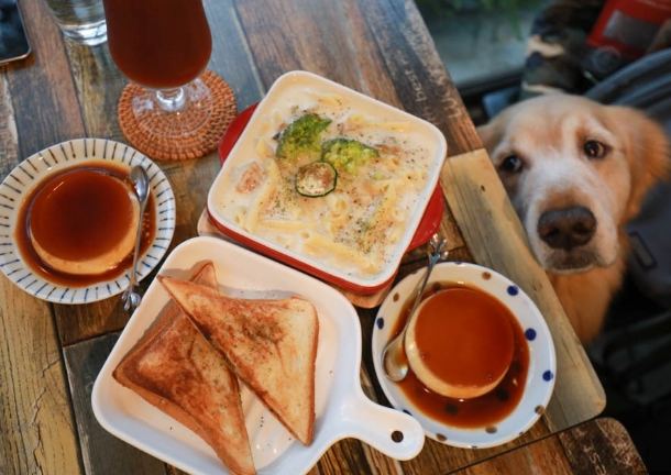 帶寵物用餐士林