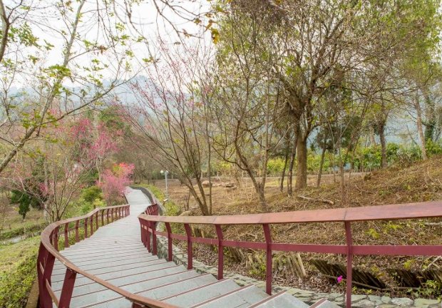 關子嶺步道推薦 關子嶺步道推薦