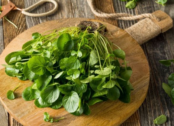 西洋菜湯做法 西洋菜湯做法