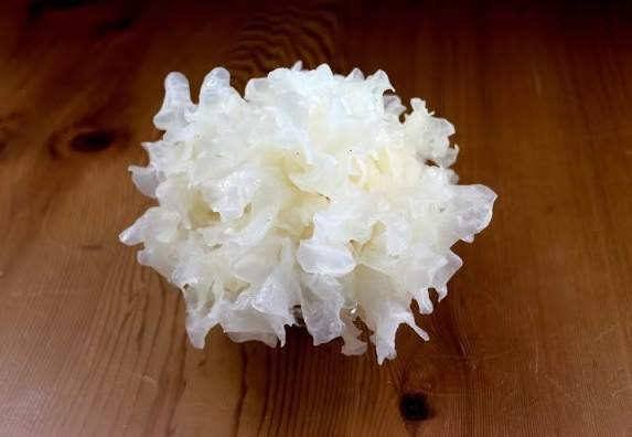 白木耳飲食禁忌 白木耳飲食禁忌