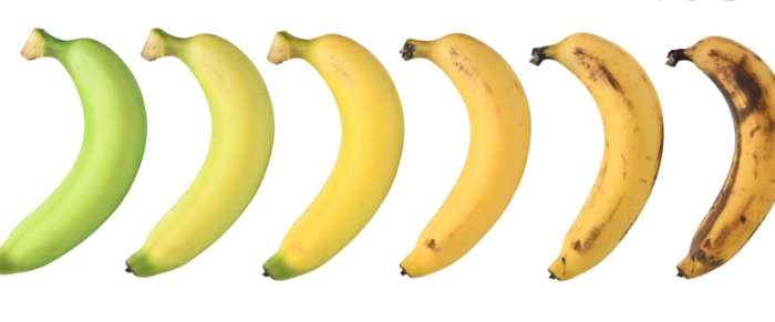 腸躁症 香蕉 腸躁症 香蕉