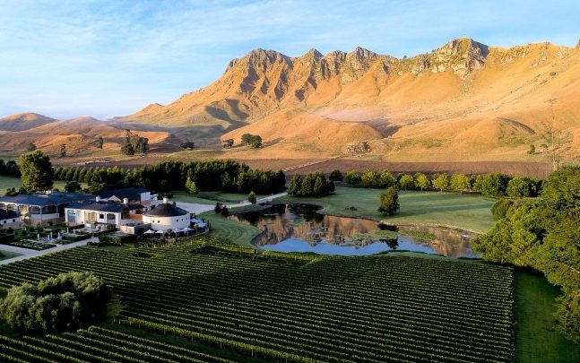 紐西蘭北島酒莊