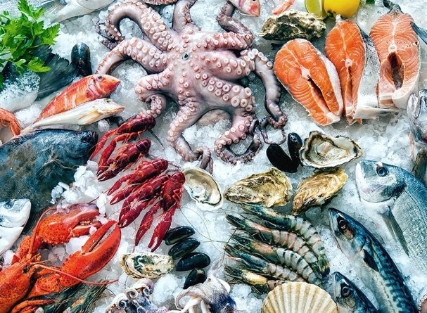 楊桃禁忌食物 楊桃禁忌食物