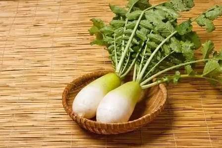 白蘿蔔搭配禁忌 白蘿蔔搭配禁忌