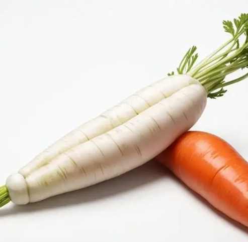 紅白蘿蔔地雷 紅白蘿蔔地雷