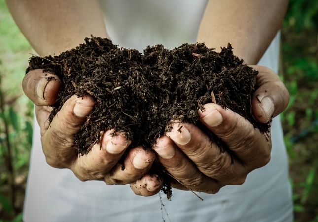 有機肥料優點 有機肥料優點