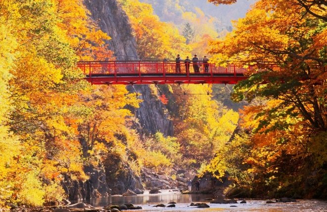 定山溪紅葉見頃